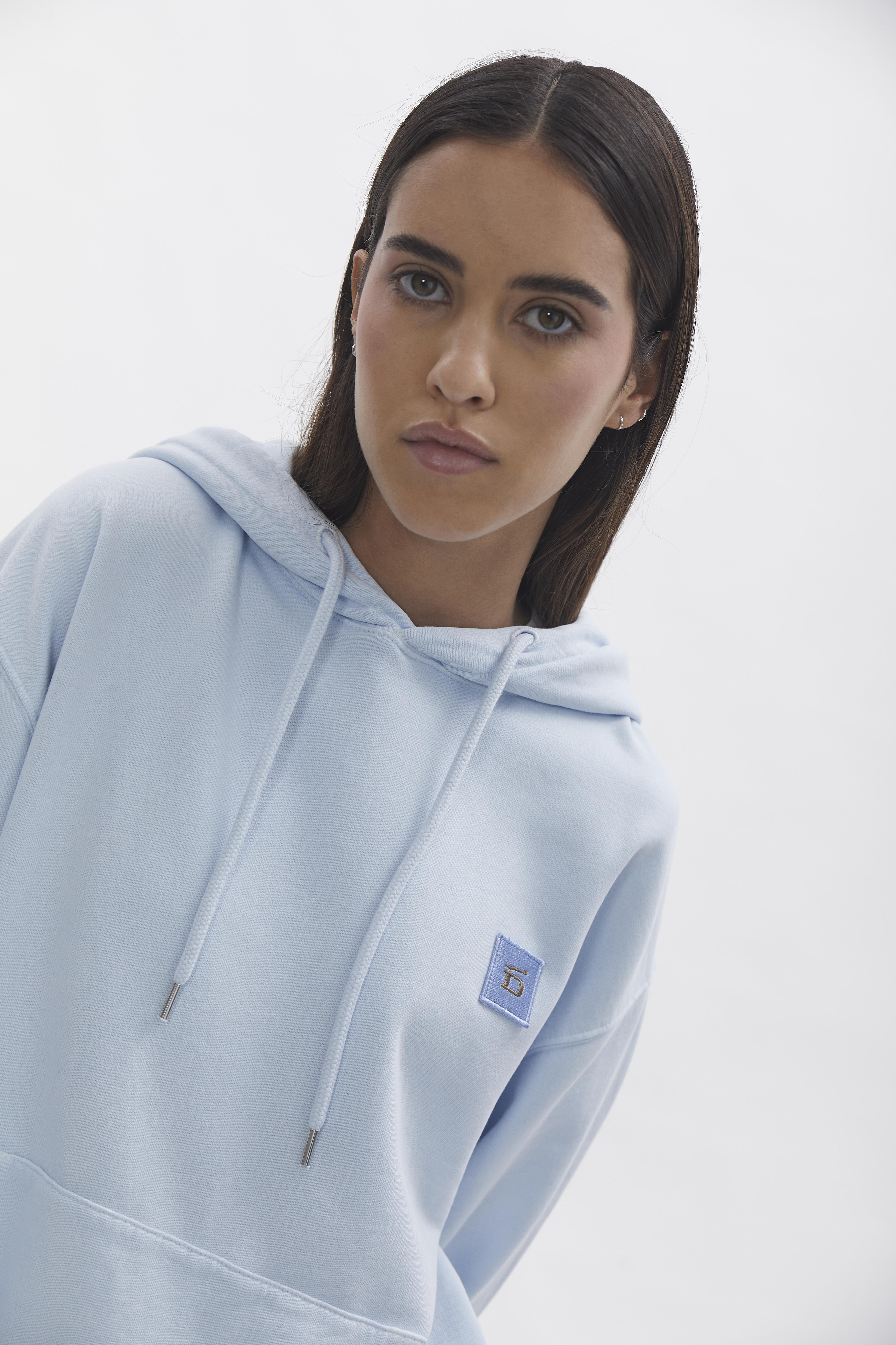 D-Brand, Hoodies, Zip Hoodies, D-Hoodie, ICE BLUE, 220101, 220101-407