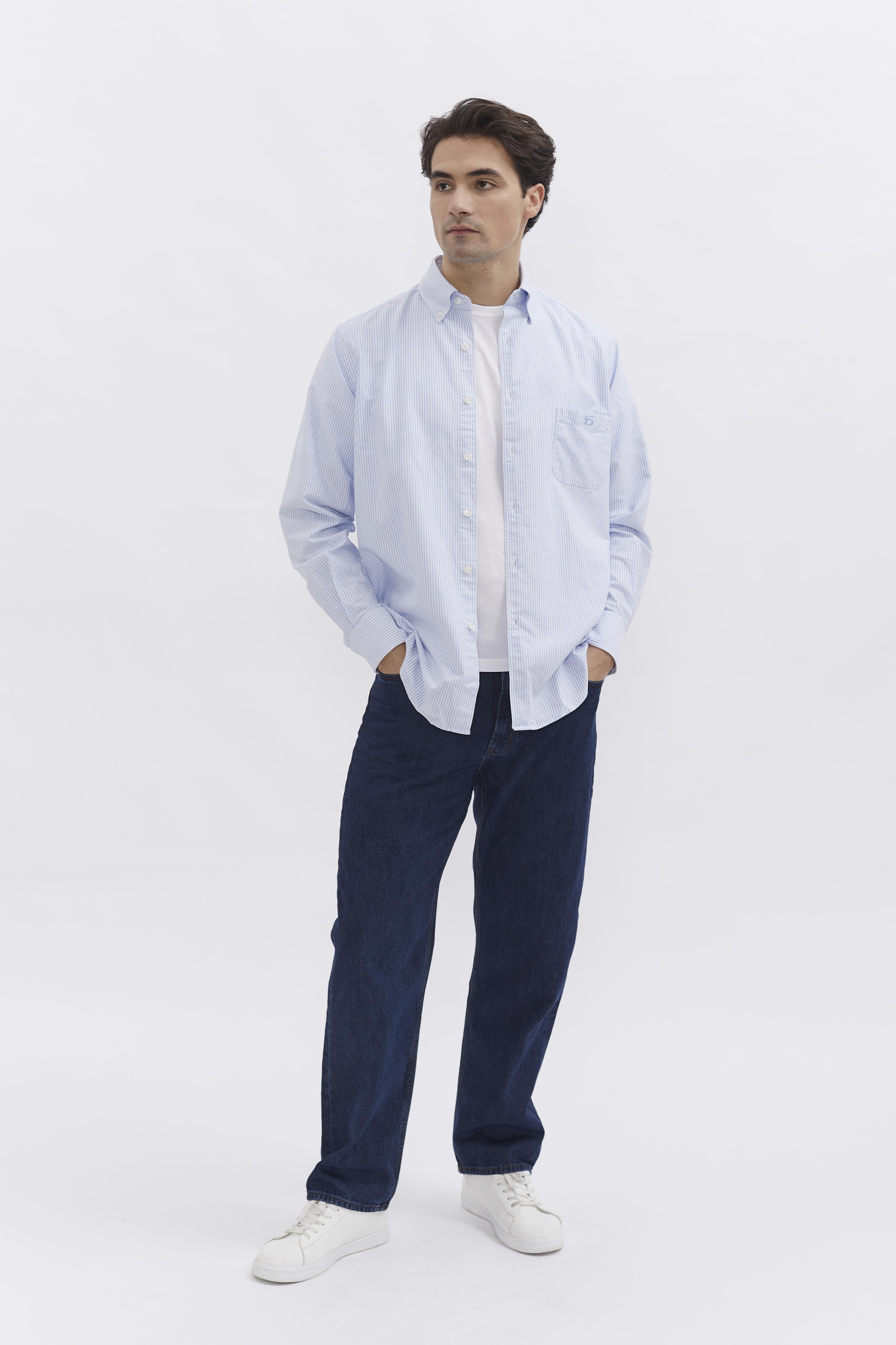 D-Brand, Shirts, Pinstriped Oxford Shirt, PINSTRIPE SKY BLUE, Blau, Hellblau, 117001, 117001-429