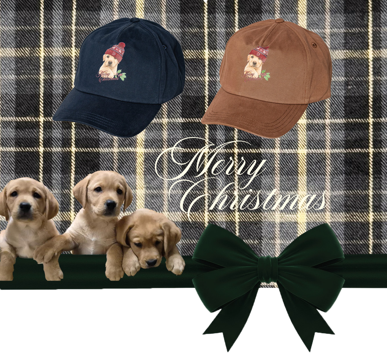 bailey mobil bailey mobil